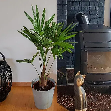 4 Bedroom Pet Friendly In Holiday home *